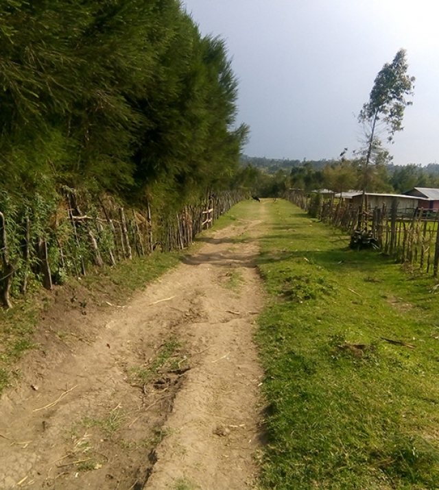 /images/estate/land/bomet7km/thumbs/1_640x715.jpg